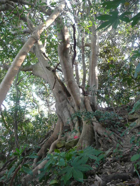 a0154870_12374966.jpg