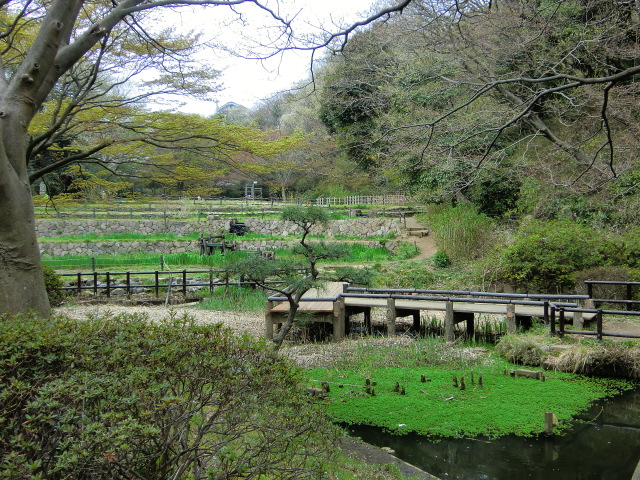 b0085872_13212473.jpg