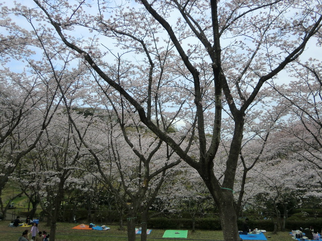 b0085872_13273561.jpg