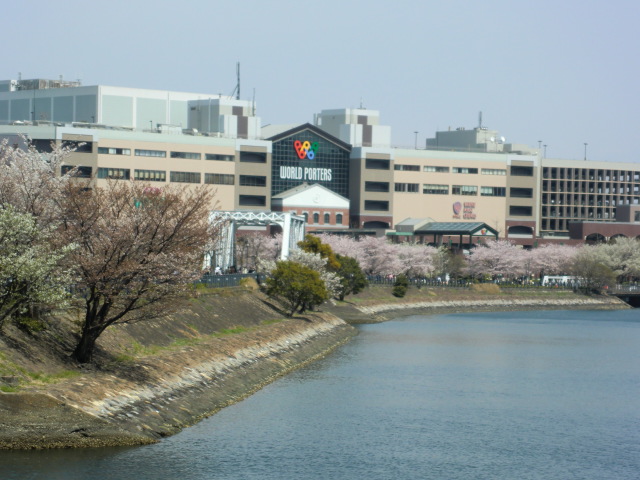 b0085872_13313959.jpg