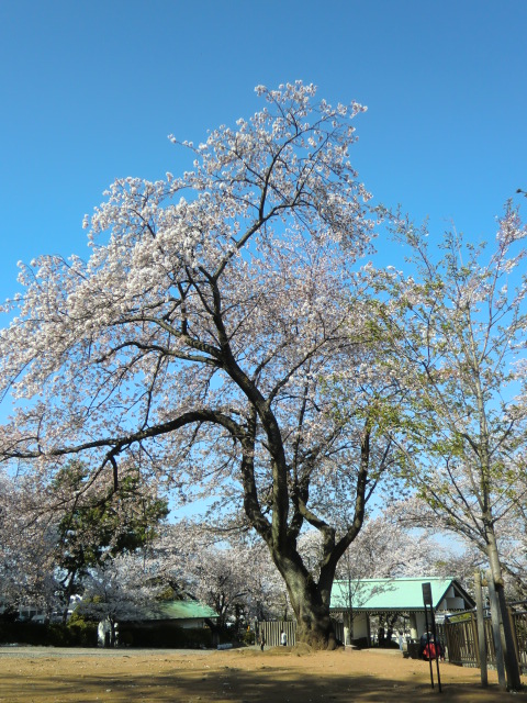 b0085872_13451755.jpg