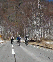 a0093282_9264339.gif