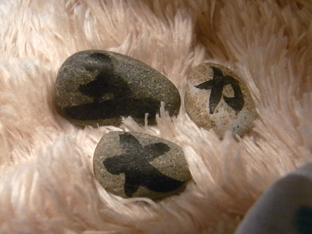 d0142082_2022430.jpg