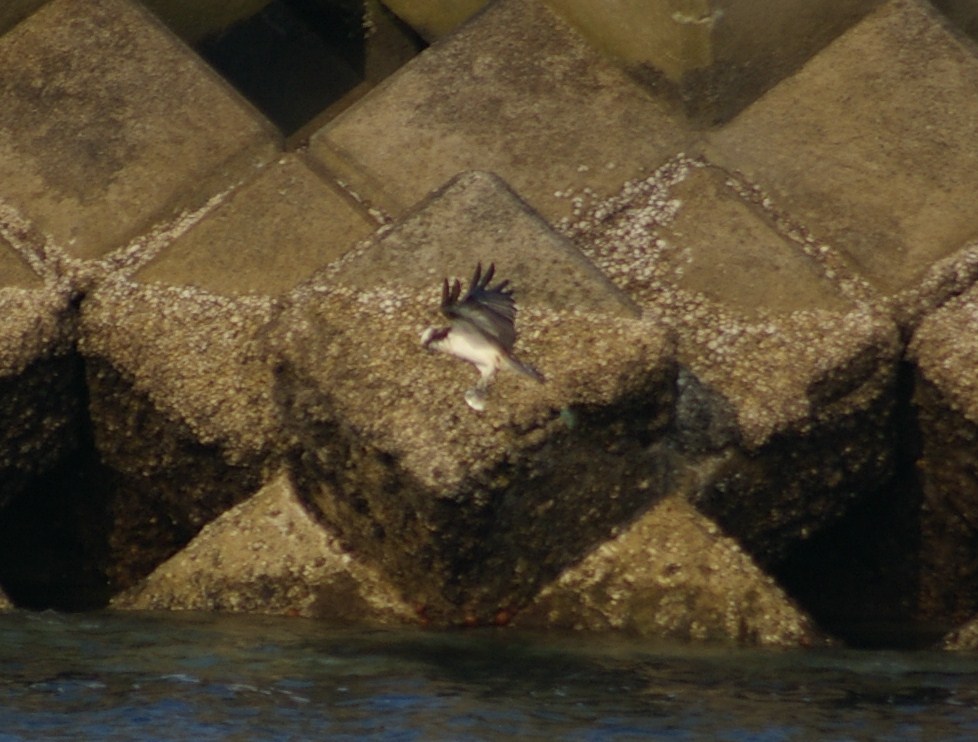 e0197884_21492969.jpg