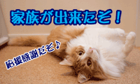 琥珀、幸せになりました
