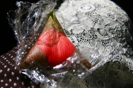 d0133693_16253570.jpg