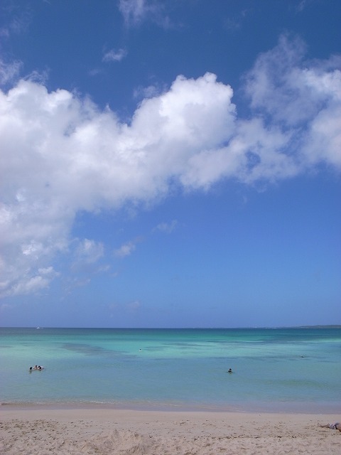 d0181193_2242369.jpg