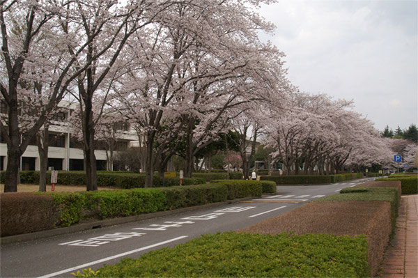 e0189298_22595269.jpg