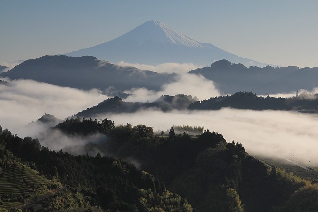 a0188405_20595276.jpg