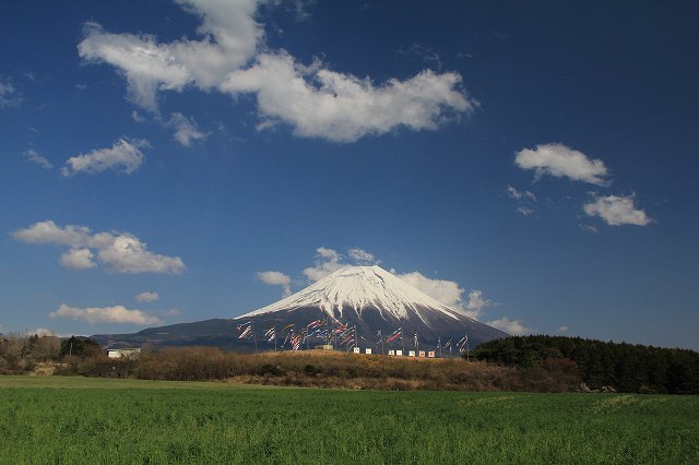 a0188405_2155378.jpg