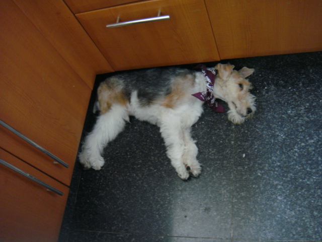 d0200406_1746674.jpg