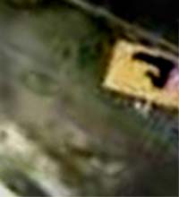 e0103408_12492157.jpg