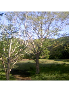 f0009509_6445369.jpg