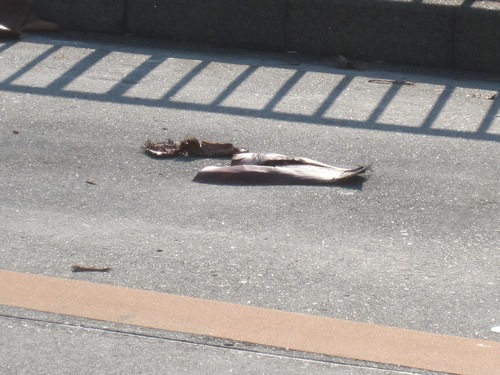 c0225420_12154551.jpg
