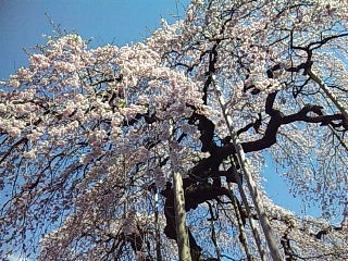 b0073322_2217895.jpg