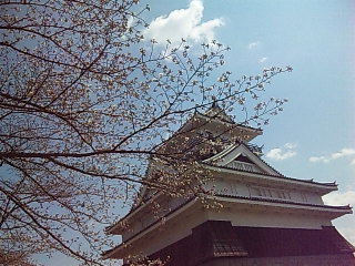 b0073322_2255079.jpg