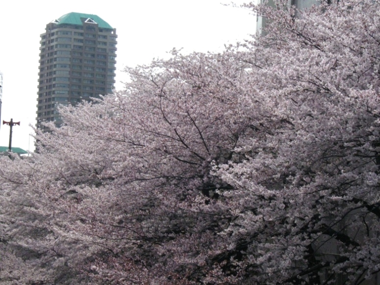 d0044222_2342132.jpg