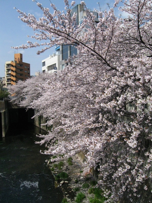 d0044222_23471269.jpg