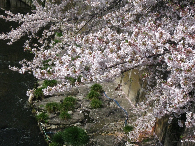d0044222_2347397.jpg