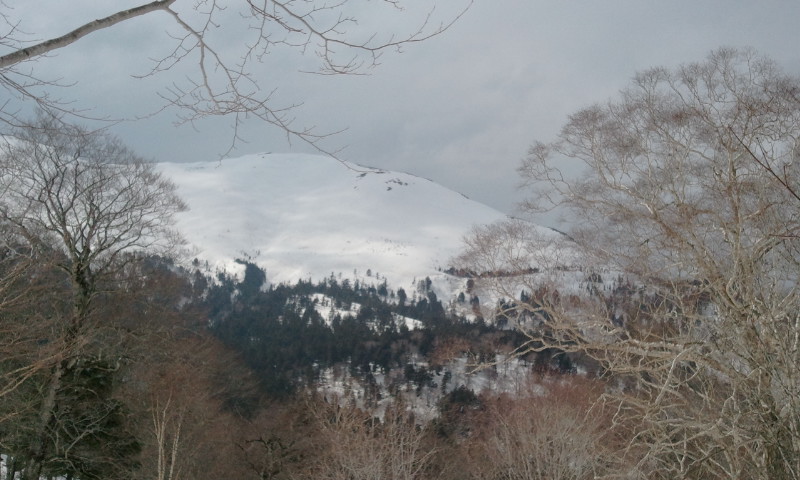 b0062024_1538512.jpg