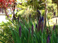 f0060424_11213472.jpg