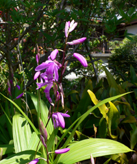 f0060424_11251550.jpg