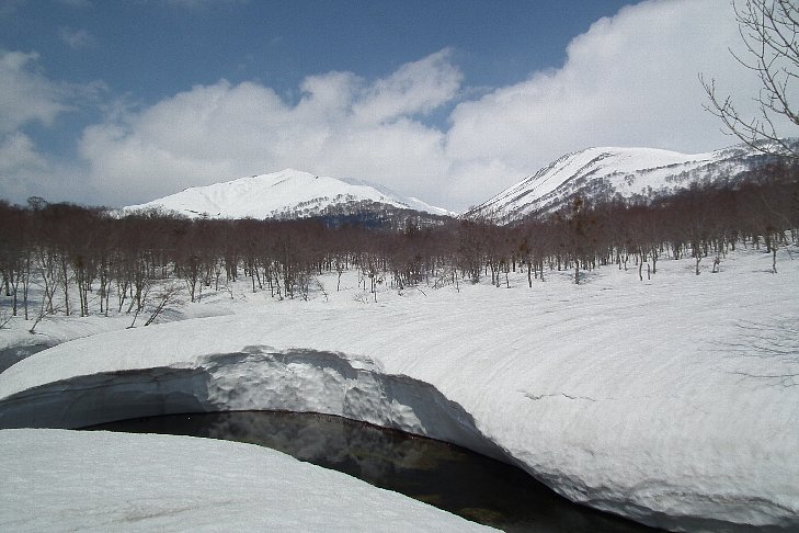 f0118332_22131687.jpg