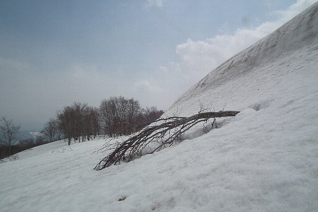 f0118332_22171692.jpg