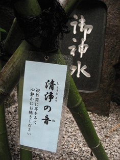 c0161034_8262746.jpg