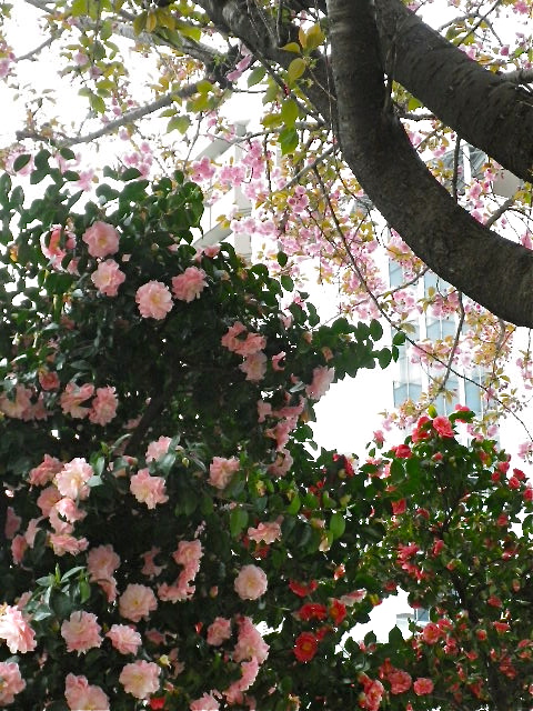 b0027736_16133939.jpg