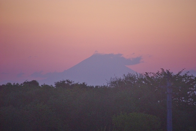 d0218238_21365923.jpg