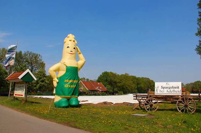 c0153740_6431227.jpg