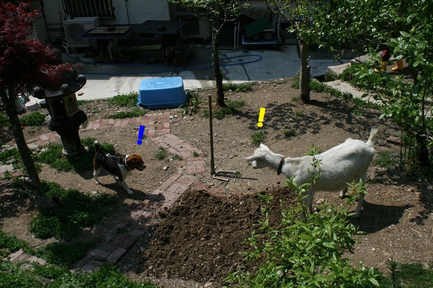 d0077740_20121092.jpg