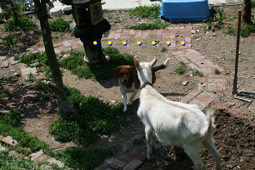 d0077740_2014660.jpg