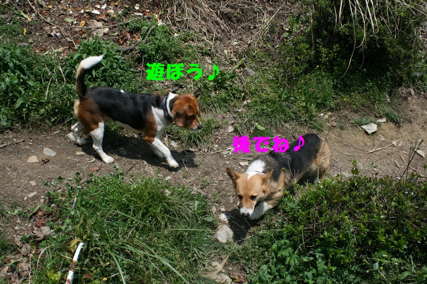 d0077740_20214814.jpg
