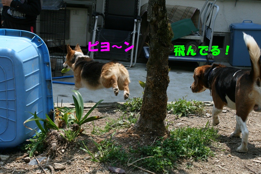 d0077740_20224079.jpg