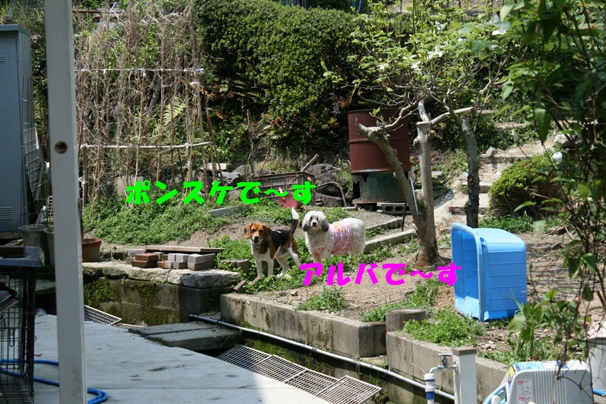 d0077740_20233335.jpg