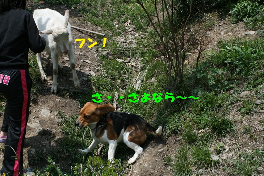 d0077740_20271160.jpg