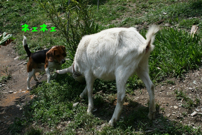 d0077740_20282792.jpg