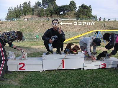 f0186040_1165799.jpg