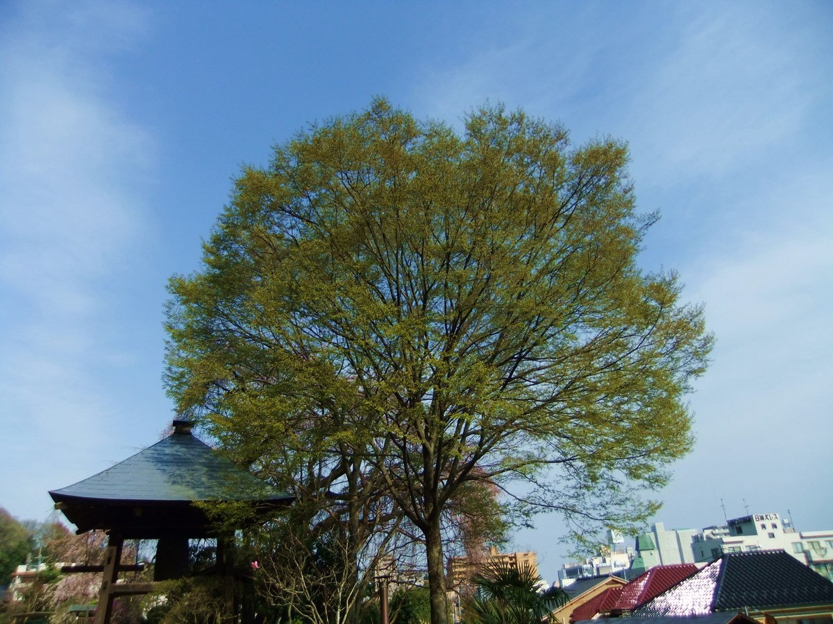 e0206242_13344123.jpg