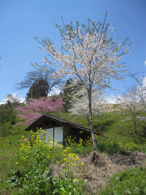 a0142843_2059465.jpg