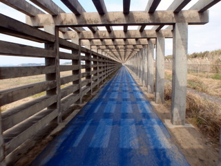 b0168843_847530.jpg