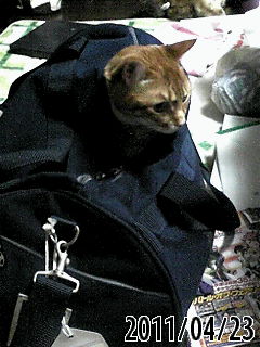 b0200747_15244076.jpg