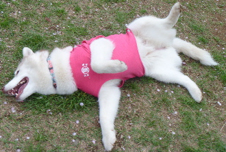 e0121548_22181022.jpg