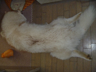 e0121548_22383711.jpg