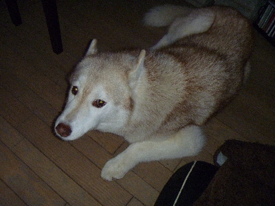 e0121548_22424363.jpg