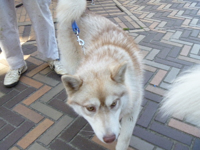 e0121548_22512423.jpg