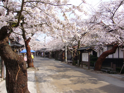 b0174451_837528.jpg