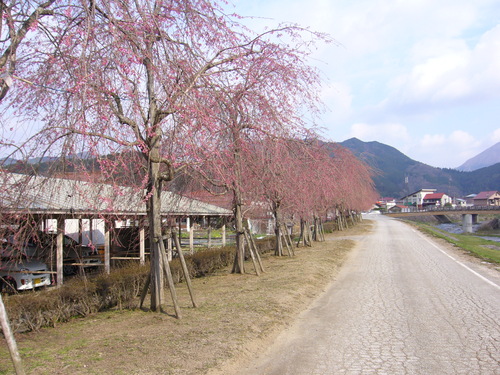 b0174451_8395150.jpg
